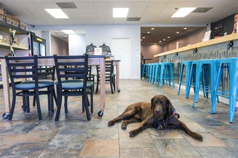 Go dog durham - GoDog Durham. Unclaimed. Pet Groomers, Pet Boarding. Closed 7:00 AM - 7:00 PM. See hours. See all 13 photos. Write a review. Add photo. …